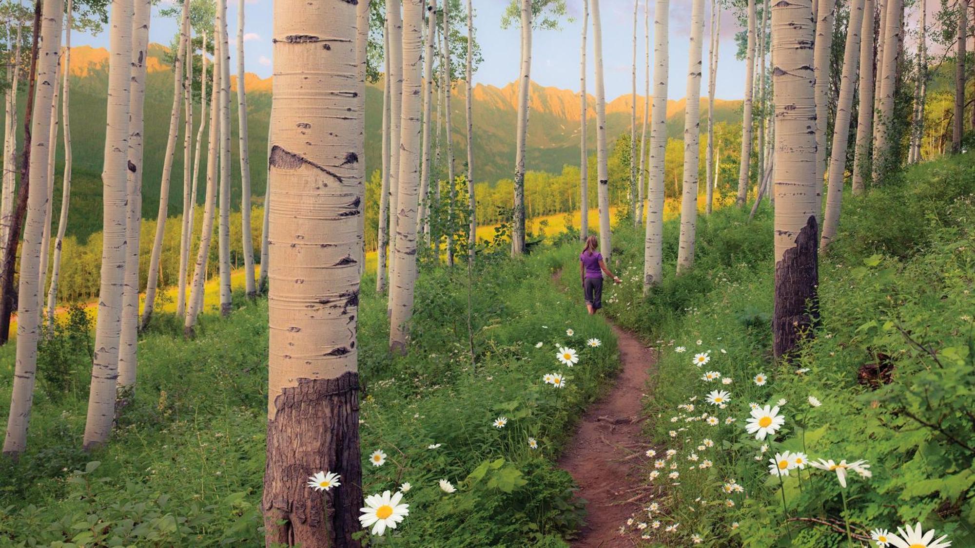 Lift House Lodge, Vail Lionshead Studio Condo, Walk To Gondola Esterno foto